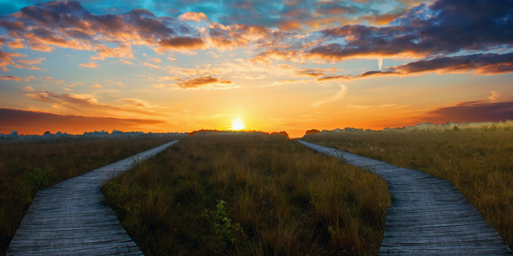 Don't Throw Good Money (or Love) After Bad.