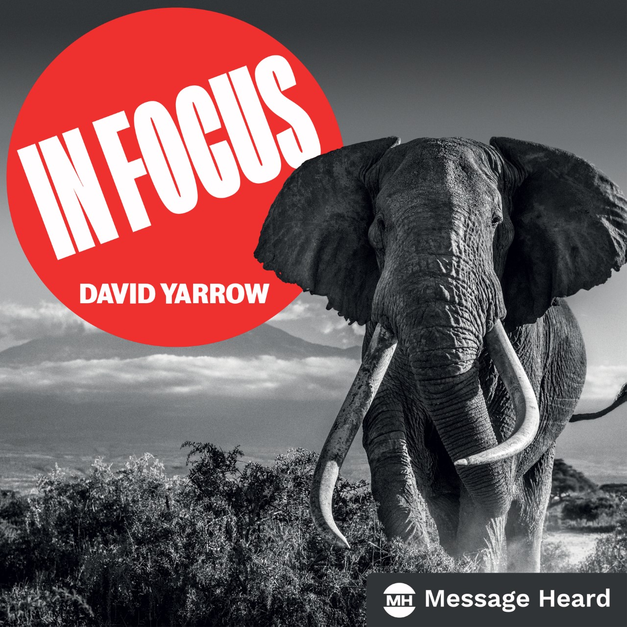 David Yarrow One of the World’s BestSelling Fine Art Photographers